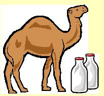 camelmilk.jpg