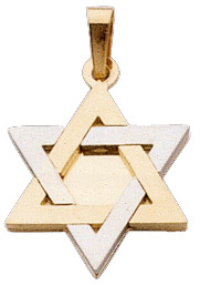 jewishstarpendant.jpg