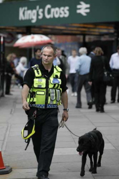 snifferdog.jpg