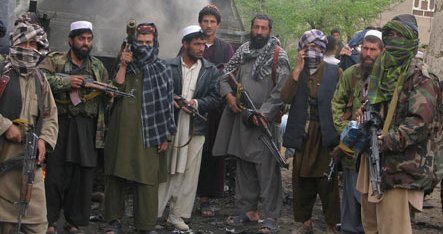 talibaninsurgents